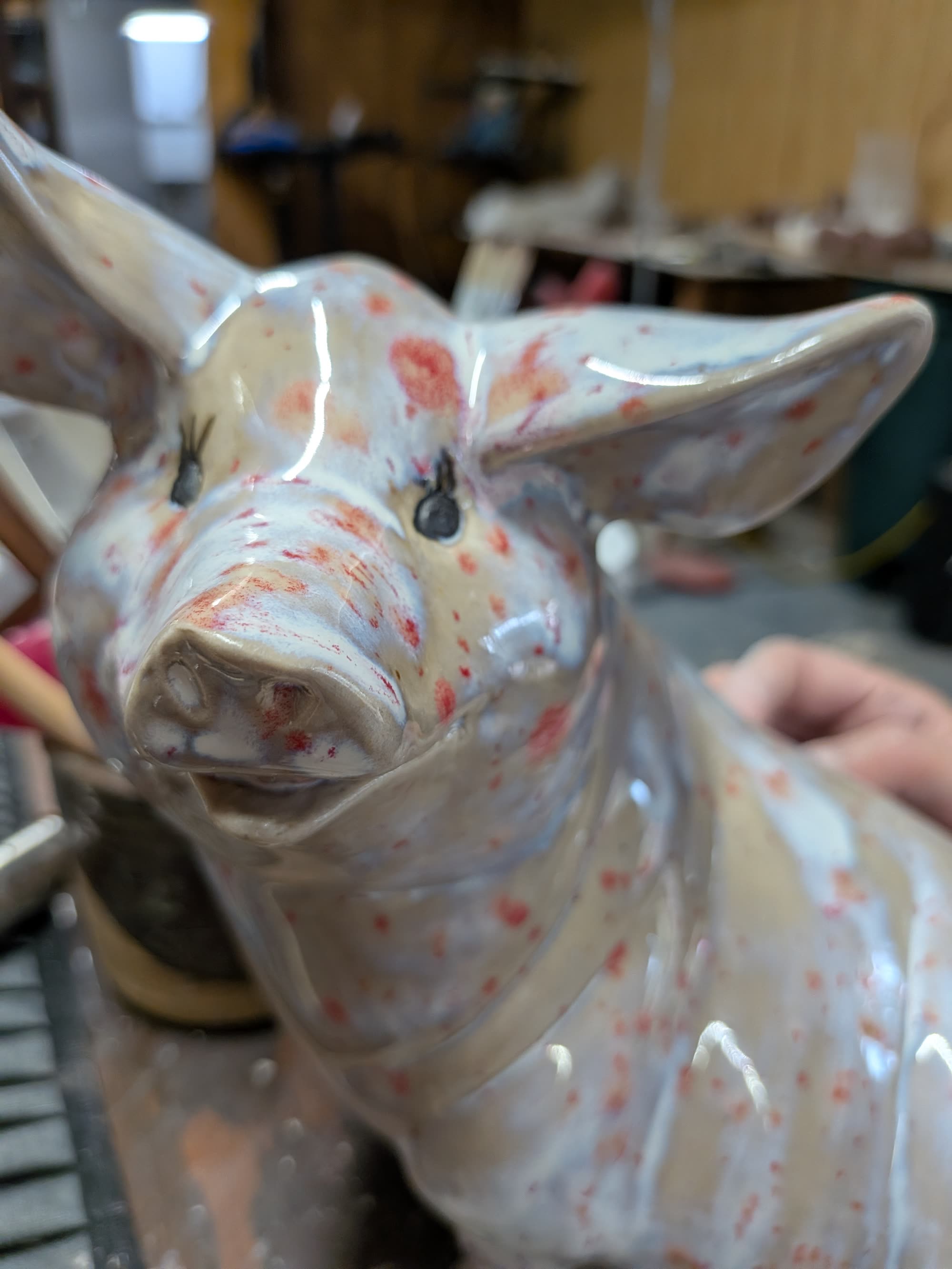 A glazed pig seen from above, its ears spread wide, a hand resting beside it.